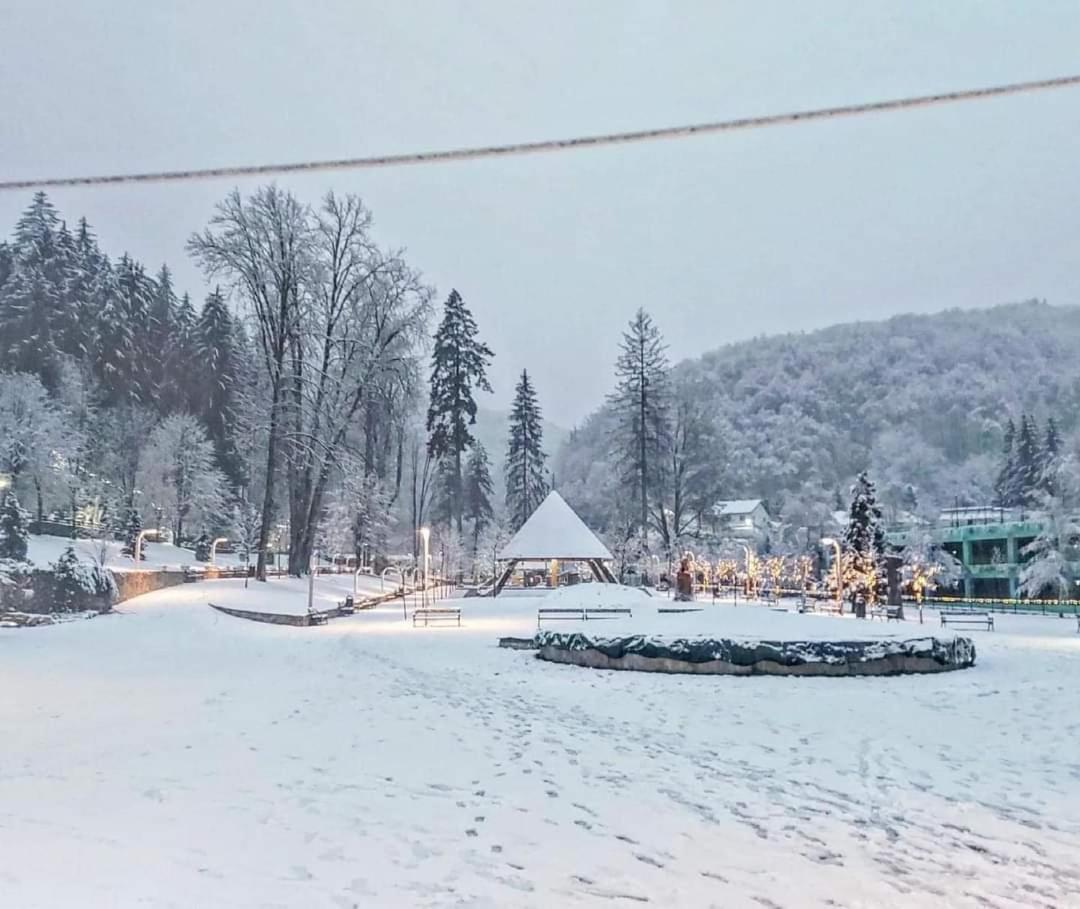 Vila Nicoleta Băile Olăneşti Eksteriør bilde