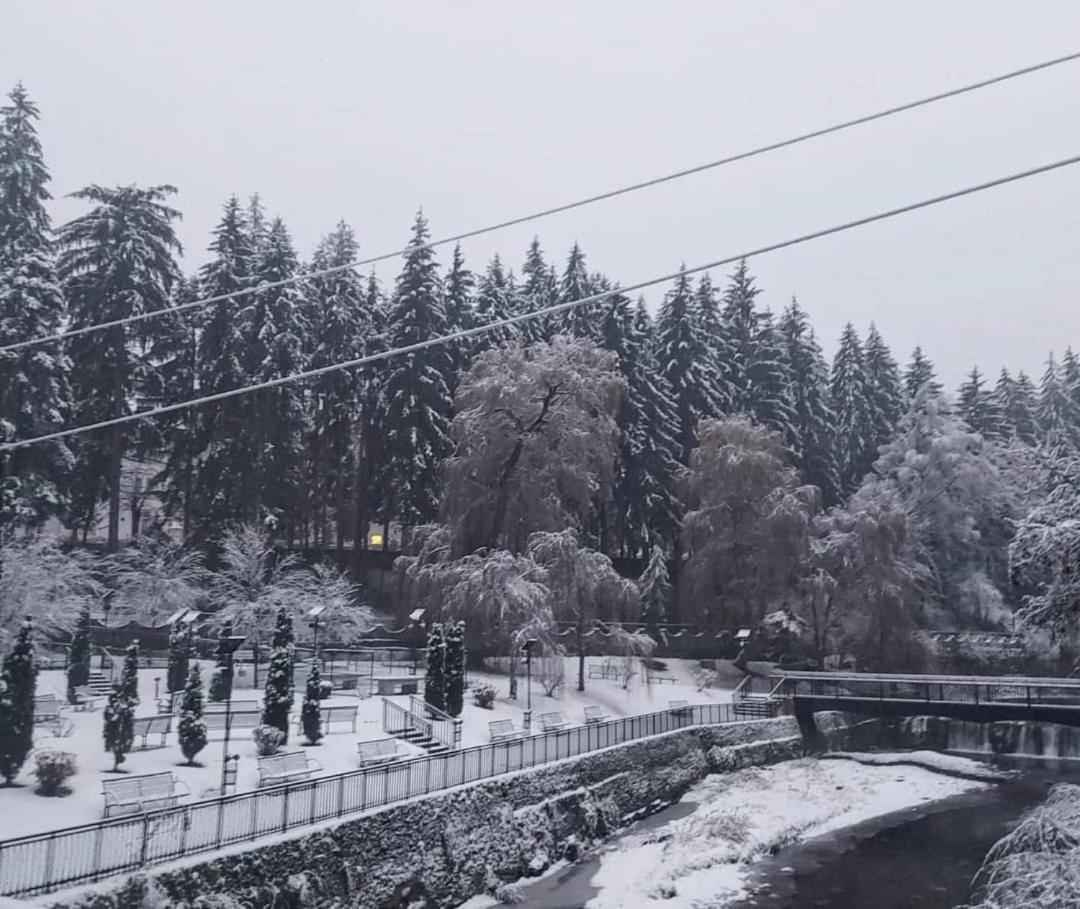 Vila Nicoleta Băile Olăneşti Eksteriør bilde