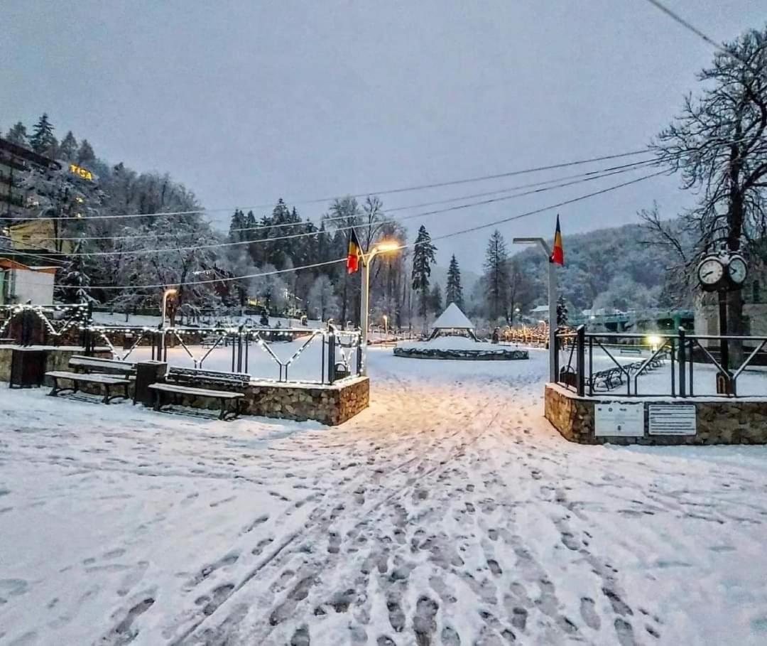 Vila Nicoleta Băile Olăneşti Eksteriør bilde